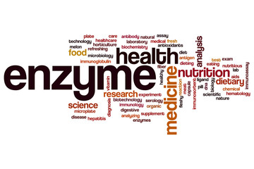 Enzyme word cloud