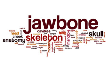 Fototapeta premium Jawbone word cloud
