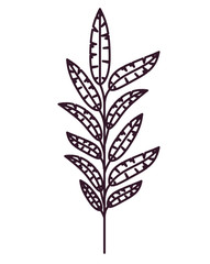 leaf floral garden and silhouette icon. decoration and ornament theme. Isolated design. Vector illustration