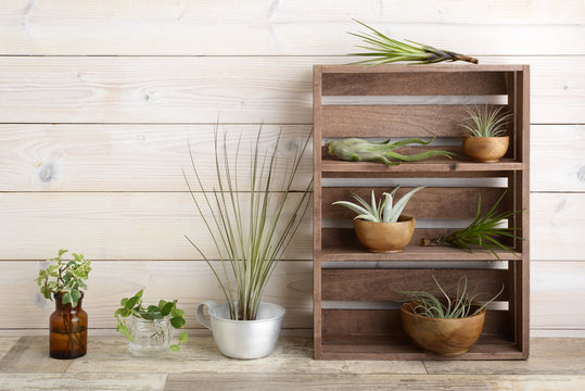 8 381 件の最適な ナチュラル雑貨 画像 ストック写真 ベクター Adobe Stock