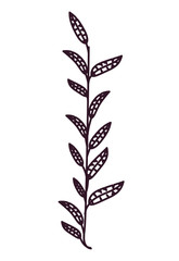 leaf floral garden and silhouette icon. decoration and ornament theme. Isolated design. Vector illustration