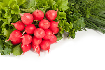 Fresh onion radish salad greens isolated on white