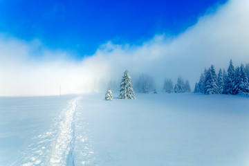 Beautiful mountain snowy landscape and snow covered trees and snowy paths in the snow. Beautiful sunny day in the mountains.