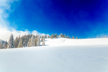 Beautiful mountain snowy landscape and snow covered trees. Beautiful sunny day in the mountains.