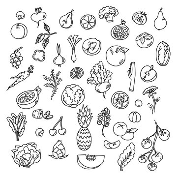 Set doodles elements vegetables and fruits. Vegetarian food