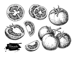 Fotobehang Tomato vector drawing set. Isolated tomato, sliced piece vegetab © Maria.Epine