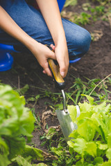 Closeup of young woman digging soil with trowel at garden