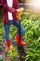 Fototapeta premium Female farmer posing with shovel on garden bed at sunny day