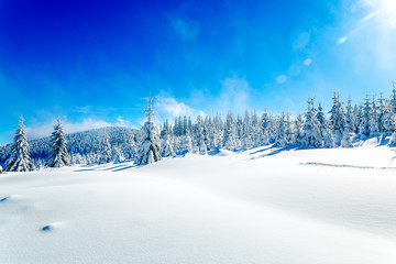 Beautiful mountain snowy landscape and snow covered trees. Beautiful sunny day in the mountains.