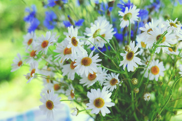 Daisies and cornflowers