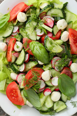 Fresh salad with vegetables and cheese
