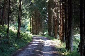 Dirt road