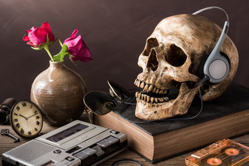 music lover skull