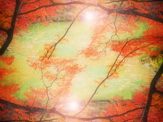 Blur Abstract Autumn background in Mifuneyama Rakuen Garden, Saga, Japan
