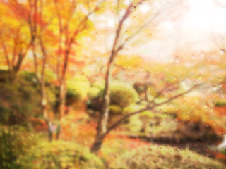 Abstract autumn blur and soft background