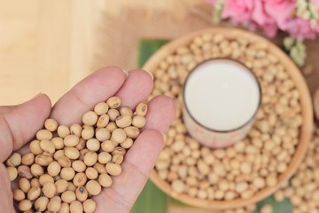 Soy milk is delicious with soybean seed.