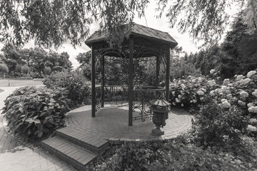 Black and white image of old metal alcove under tree at park