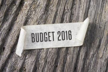 TORN paper with BUDGET 2016 word on wooden background. 