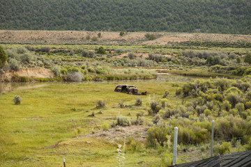 Abandoned Car