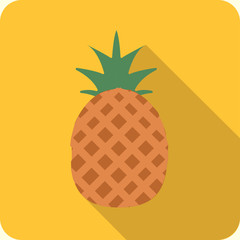 pineapple flat icon with long shadow