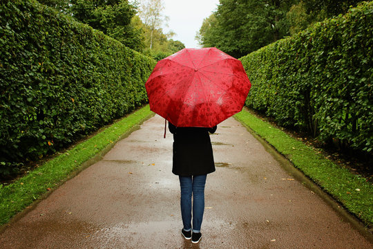 young girl walks along the green alleys from the bushes in the rain with a red umbrella