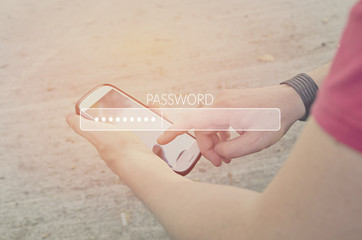 Password Box in Internet Browser