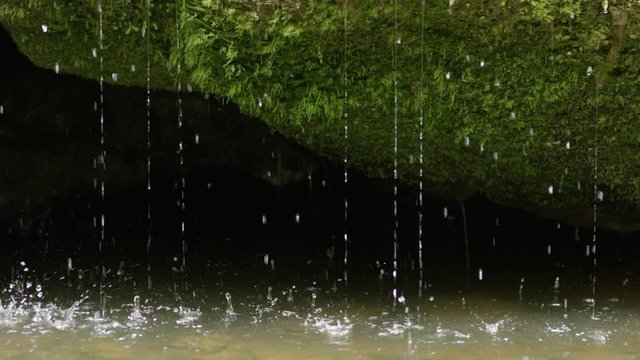 Slow motion close-up of spring water dribbling from mossy rock into a river, shot or RED Epic Dragon R3D, 4K 120fps
