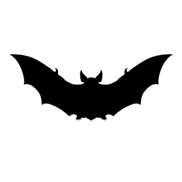 bat black silhouette vector illustration isolated