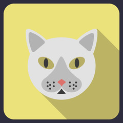 cat flat icon with long shadow