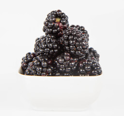 Blackberries: a bowl of fruit on white background