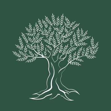 Olive tree outline silhouette icon isolated on green background.
Web graphics stroke modern vector sign. Premium quality illustration logo design concept pictogram.