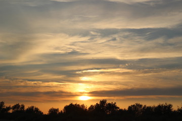 Fototapeta na wymiar Sunset over clouds and trees