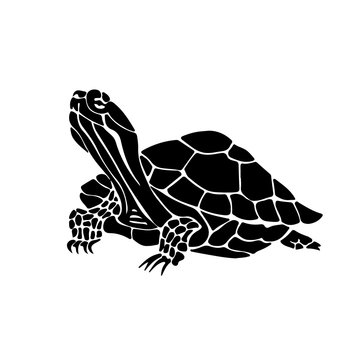 Vector hand drawn illustration of turtle. Black silhouette of tortoise.