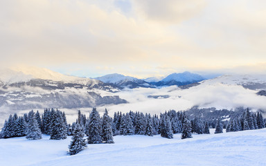 Mountains with snow in winter.  Ski Resort Laax. Switzerland