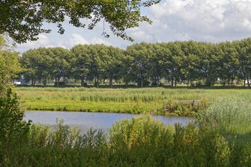 dutch countryside