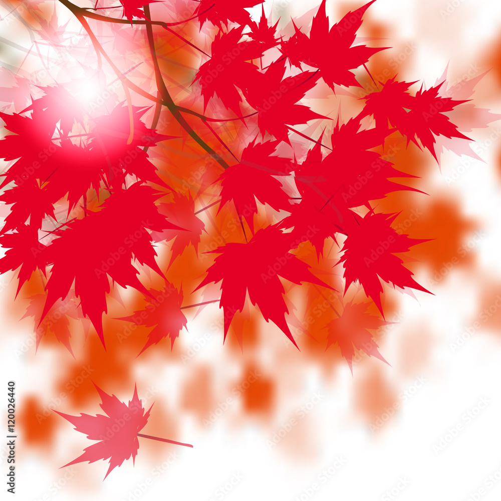 Canvas Prints red maple leaves on the branches. japanese red maple. against the background of autumn leaves. illus