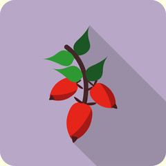 rose hips flat icon with long shadow