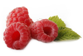 fresh raspberry isolated