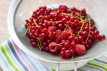Fresh berries in a sieve