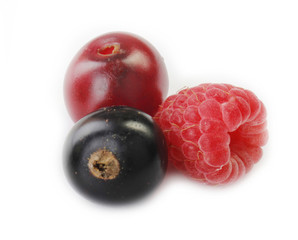 berries isolated