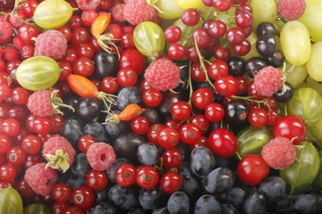 berries and fruits background