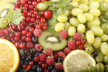 berries background