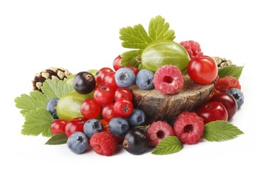colourful berries isolated
