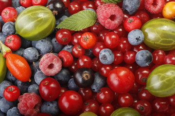 Fototapeta na wymiar berries background