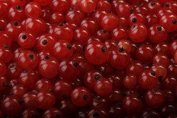 red currant background
