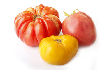 red and yellow tomatoes isolated
