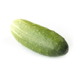 cucumber isolated