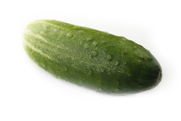 cucumber isolated