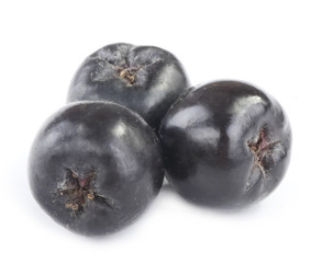 black ashberry isolated