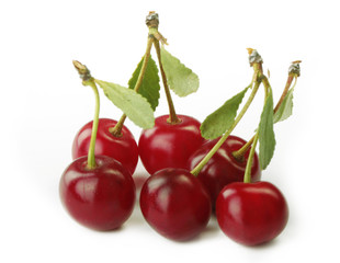 red cherry with leaves isolated